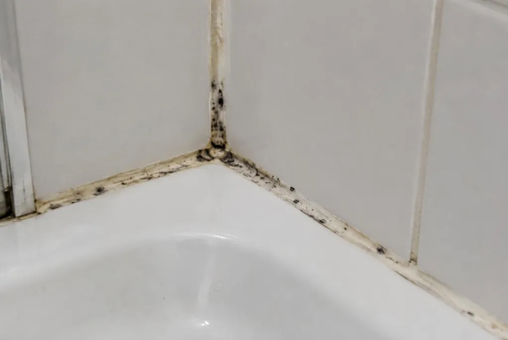 Kitbedrijf Alblasserdam – beschimmelde kitranden